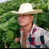 （笑看风云）的头像