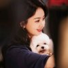 CiCi的头像