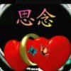 山里红。的头像