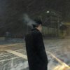 安公子的头像
