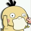 苹果的头像