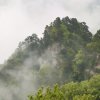 风景这边独好的头像