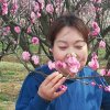平安幸福美的头像