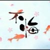 不悔的头像