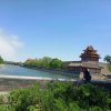 带你去流浪的头像
