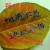 惜缘的头像