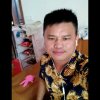 渴望飞翔的头像