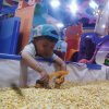一生何求的头像