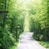 平安幸福的头像