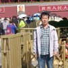 忘事随风的头像