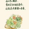 娜娜的头像