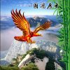 大展宏图的头像