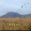人生只如初见的头像