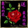 龍聖鹦鹉歌手的头像
