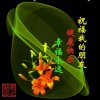 一笑而过的头像