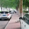 淼森的头像