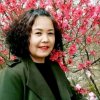 杨柳退出的头像