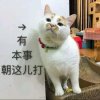 玖熙的头像