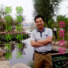 新奇的头像