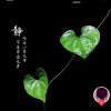 只要一份安宁的头像