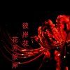 心语的头像