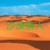沙漠情人的头像