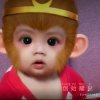 ☞LMWX☜龍兒独宠過兒1LOVeYOuandguardYOua11mY的头像