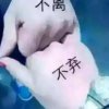 今生和你有缘的头像