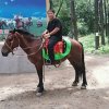 清风的头像