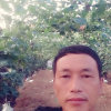 三铁的头像