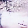 雪语（暂退）的头像