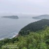 海阔天空的头像