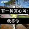 @守望幸福的头像