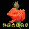 相遇是缘的头像