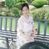 六家族常青树的头像