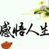 感悟人生的头像