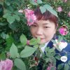 蓉蓉的头像