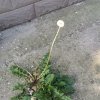 草归彩的头像