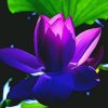 春～花仙子的头像