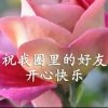 蜀南（暂离）的头像