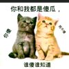 静瑶的头像