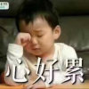 我是一颗小草15036072268的头像