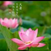 知足常乐的头像