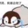 凉冰的头像