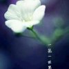 平凡的头像
