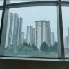 光头强来了的头像