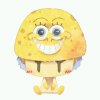 海绵宝宝的头像