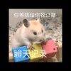 Sun、TOBI（助攻满级）的头像