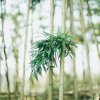 曲终人散……的头像