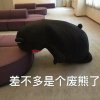 璐璐(ฅ>ω<*ฅ)的头像